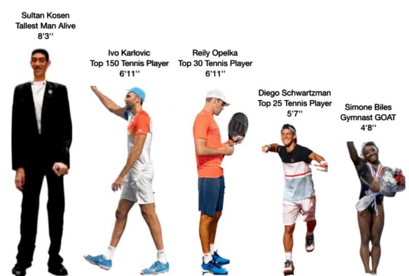 hoe te gebruiken Rot milieu What Is the Average Height of Tennis Players? - My Tennis HQ